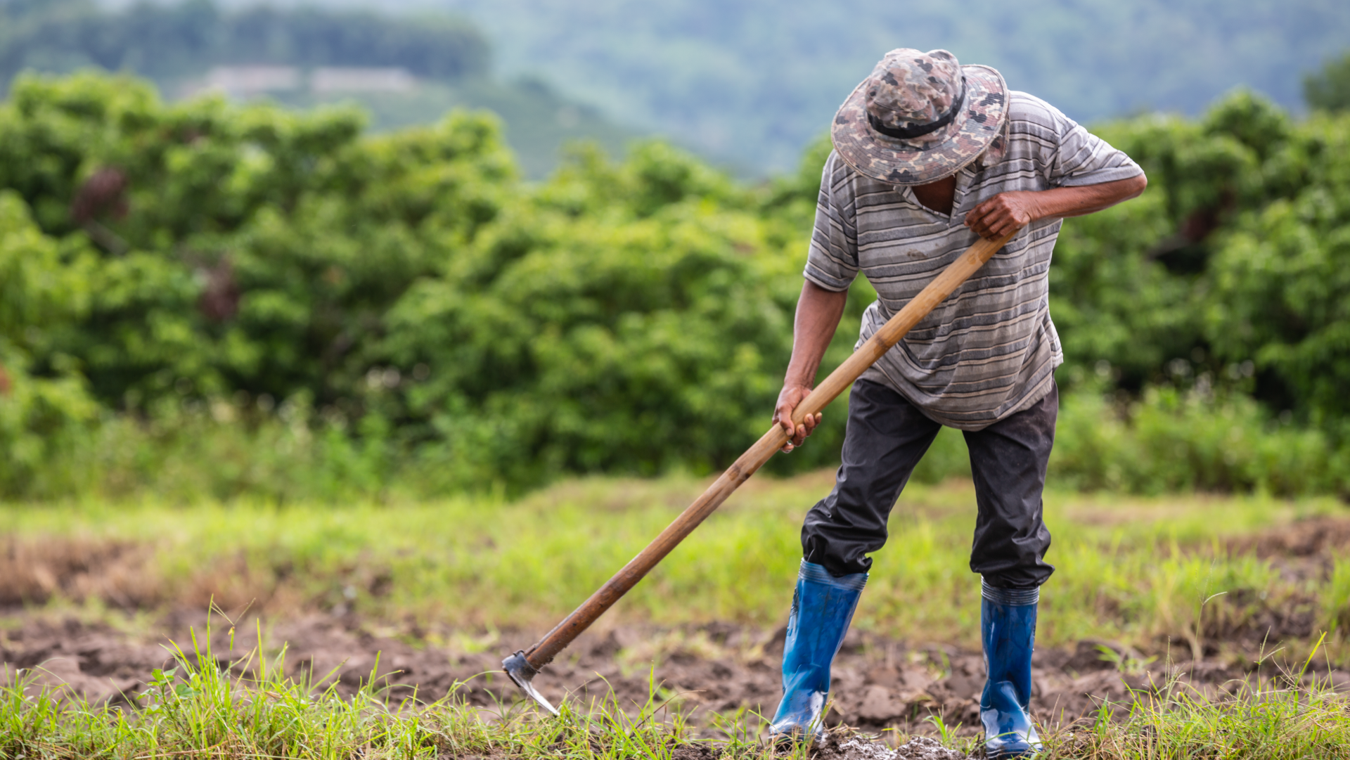 Campesino trabajando la tierra con una azada en un campo verde.