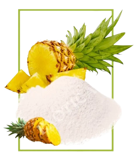 Piña en Polvo - Superalimento Bulk Exótica