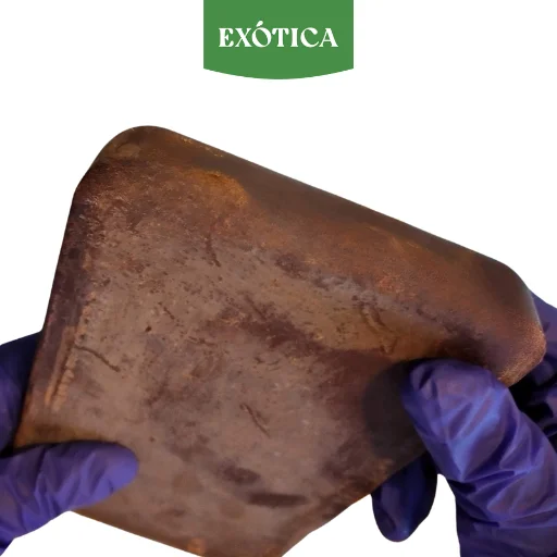 Cacao en Barra