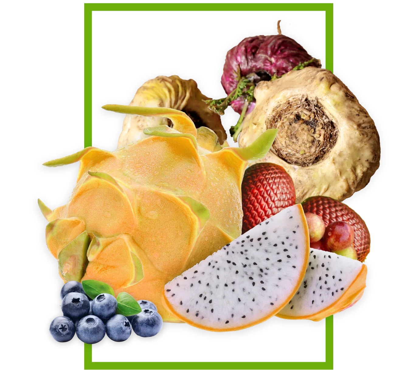 imagen-2-inicio.webp
