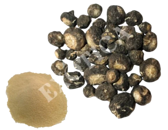 Polvo Gelatinizado